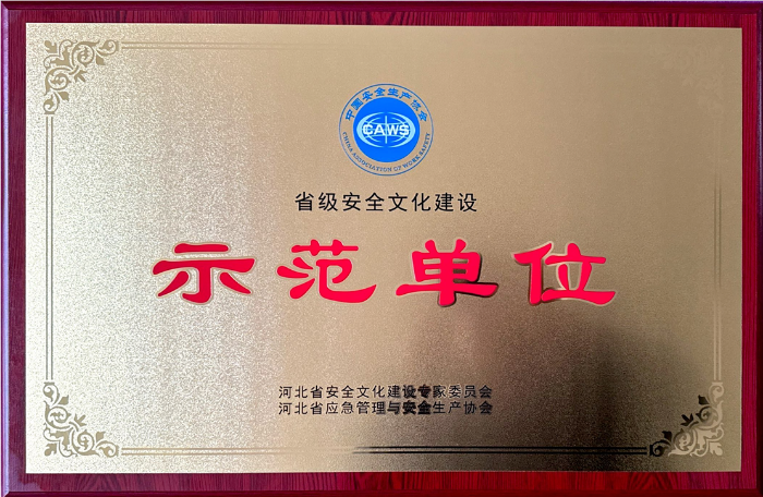 安全文化